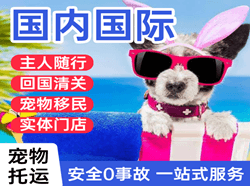 营口航空快运国际宠物托运 【国